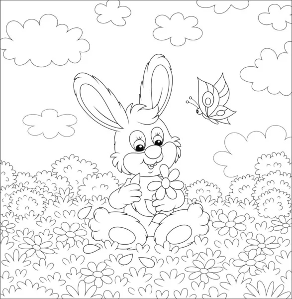 小さなウサギと面白い蝶の夢を見て 美しい晴れた日に夏のフィールドの芝生の上でデイジーと運命を伝える 黒と白のベクトル漫画のイラスト — ストックベクタ