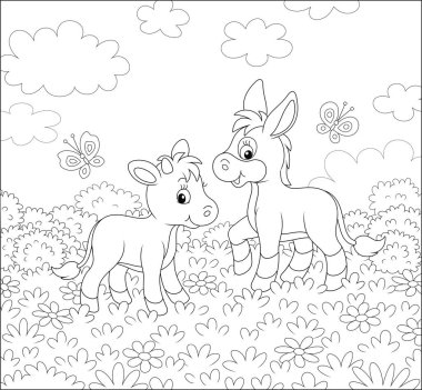 Küçük bir eşek ve küçük bir buzağı, güzel güneşli bir günde, bir yaz tarlasının çimlerinde, siyah ve beyaz vektör karikatür çizimlerinde, yabani çiçeklerin arasında yürüyorlar.