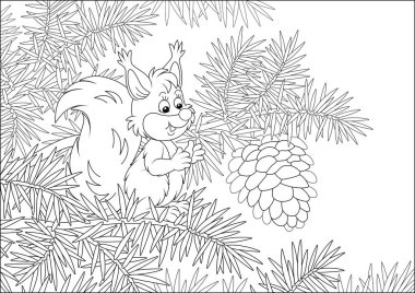 Friendly smiling small squirrel with a big cone on a branch of a prickly fir tree in a wild forest, black and white vector cartoon illustration for a coloring book vector