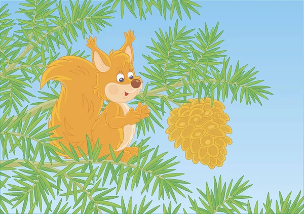 在野生森林里 一只友善的红色松鼠 它的枝条上挂着一个大圆锥形的绿色刺冷杉树 — 图库矢量图片
