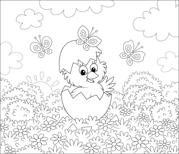 Hatched Small Chick Looking Out Cracked Egg Grass Flowers Butterflies — Stock Vector