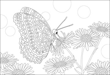 Ornate butterfly drinking nectar on a beautiful wildflower on a summer field, black and white vector cartoon illustration for a coloring book page