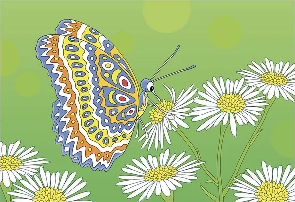 Papillon Lumineux Décoré Buvant Nectar Sur Une Fleur Sauvage Blanche — Image vectorielle