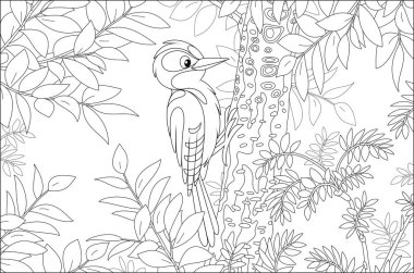 Funny woodpecker climbing on a tree and drumming a trunk to find insects for dinner in a summer forest, black and white vector cartoon illustration for a coloring book page vector