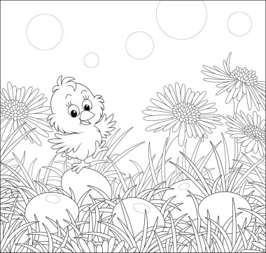 Yaban çiçeklerinin arasında neşeli bir piliç, güneşli bir bahar gününde koyu çimlerde paskalya yumurtası boyadı. Boyama kitabı sayfası için siyah beyaz vektör çizimi.