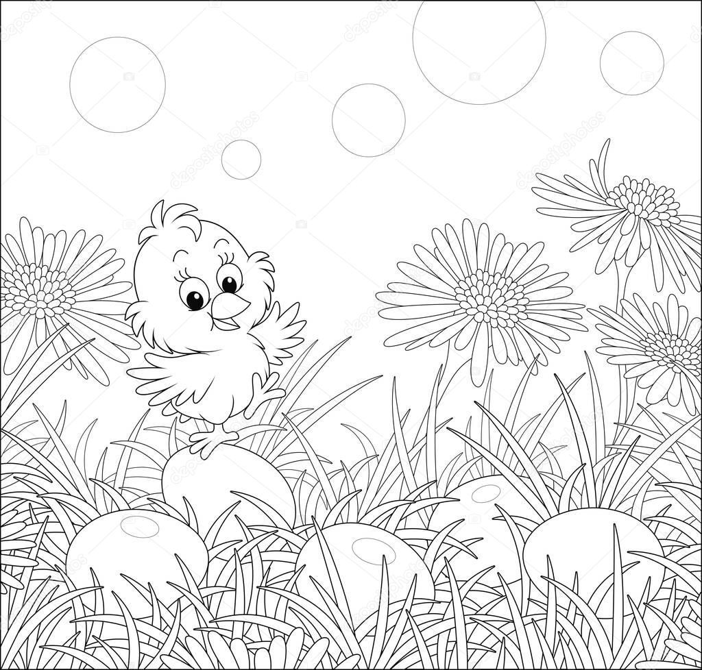 Little cheerful chick among wildflowers and painted Easter eggs in thick grass on a sunny spring day, black and white vector cartoon illustration for a coloring book page