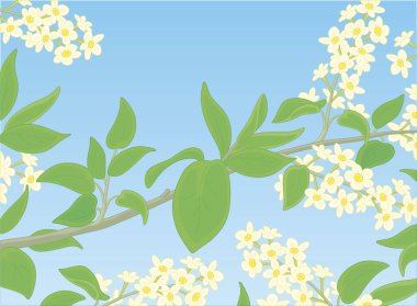 Mavi gökyüzü arka planında beyaz bahar çiçekleri olan güzel yeşil dal, vektör karikatür çizimi