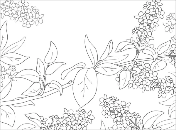 Όμορφο Κλαδί Δέντρου Φύλλα Και Ανοιξιάτικα Λουλούδια Ασπρόμαυρο Διάνυσμα Εικονογράφηση — Διανυσματικό Αρχείο