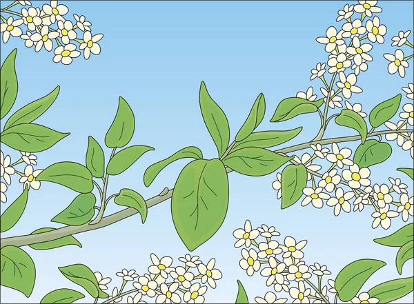 Ramo Árvore Verde Bonita Com Flores Brancas Mola Fundo Azul — Vetor de Stock