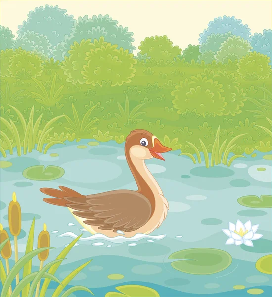 葦の間で大きな野生のガチョウの水泳 暖かい夏の日に緑の草原の小さな青い湖の白い睡蓮の葉と花 ベクトル漫画のイラスト — ストックベクタ