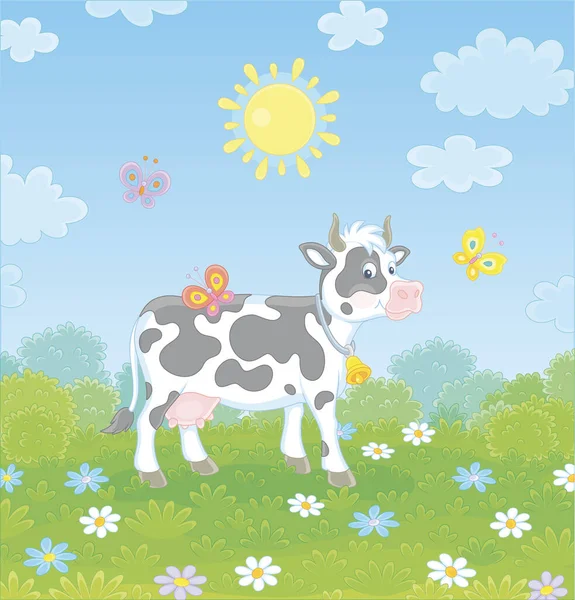 Spotted Black White Dairy Cow Walking Lush Grass Colorful Flowers — Stock Vector