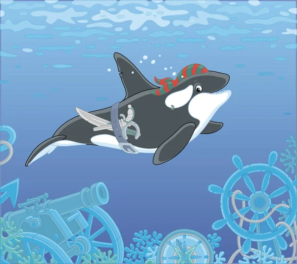 Balena Assassina Che Nuota Con Una Bandana Pirata Una Sciabola — Vettoriale Stock