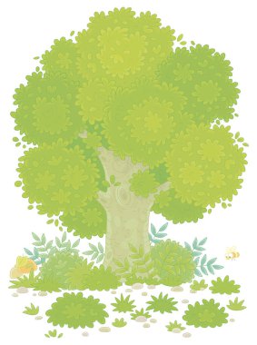Büyük dallı meşe ağacı, yeşil çalılar, çimenler ve mantarlar yazın güzel bir ormanda, vektör karikatür çizimleri beyaz arka planda
