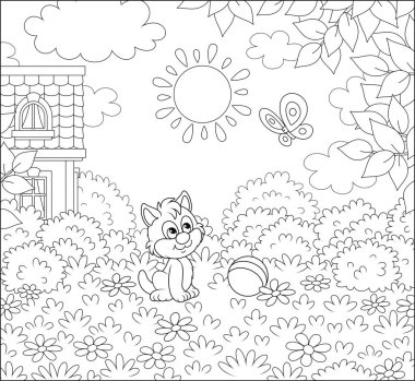 Güneşli bir yaz gününde, küçük bir köy evinin yakınındaki güzel çimenlikte küçük bir kelebekle oynayan küçük kedi yavrusu boyama kitabı sayfası için siyah-beyaz vektör karikatür çizimi