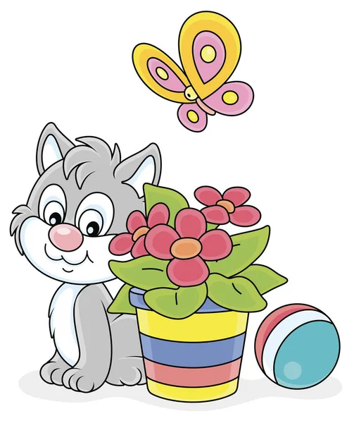 Little Grey Kitten Sitting Beautiful Window Flower Striped Flowerpot Watching — Stock Vector