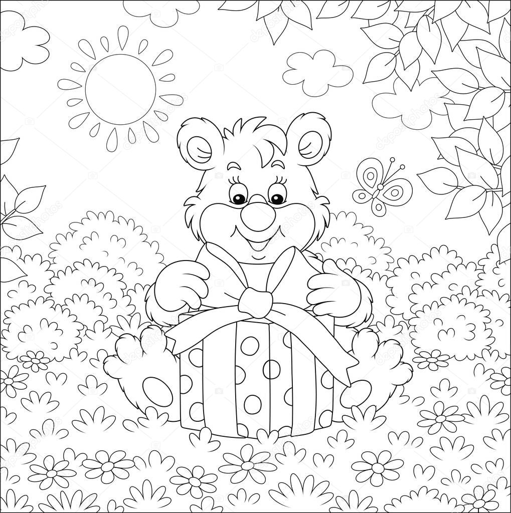 Friendly smiling little bear holding a beautiful box with a holiday gift on a pretty forest glade on a sunny summer day, black and white vector cartoon illustration for a coloring book page
