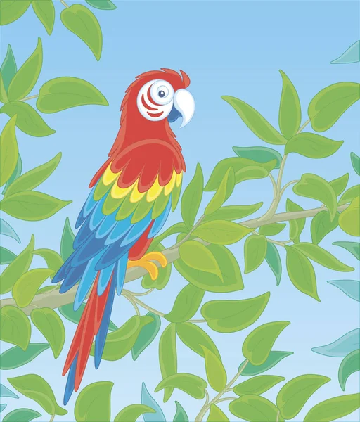 カラフルなオウムのマコウ 長い尾と鮮やかな色の羽毛で 熱帯のジャングル 野生の風景 ベクトル漫画のイラストで緑の木の枝に覆われました — ストックベクタ