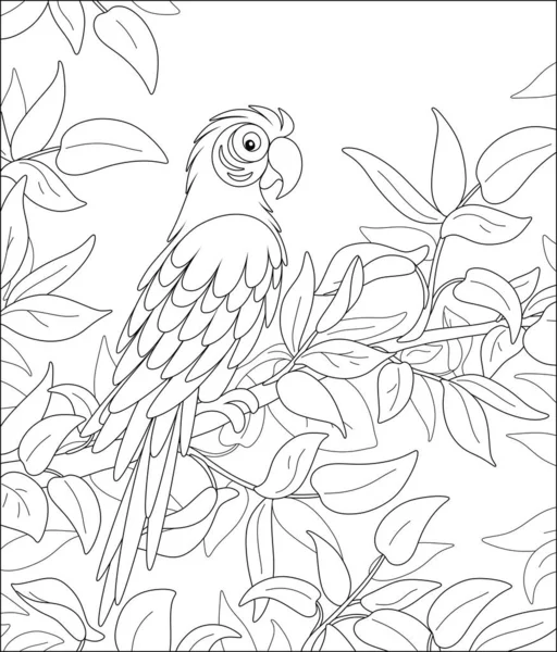 Zabawna Papuga Papuga Pasiastym Upierzeniem Siedząca Między Liśćmi Gałęzi Drzewa — Wektor stockowy