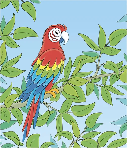 Zábavné Pestrobarevné Papouščí Macaw Dlouhoocasé Pestrobarevným Peřím Usazené Zelené Větvi — Stockový vektor