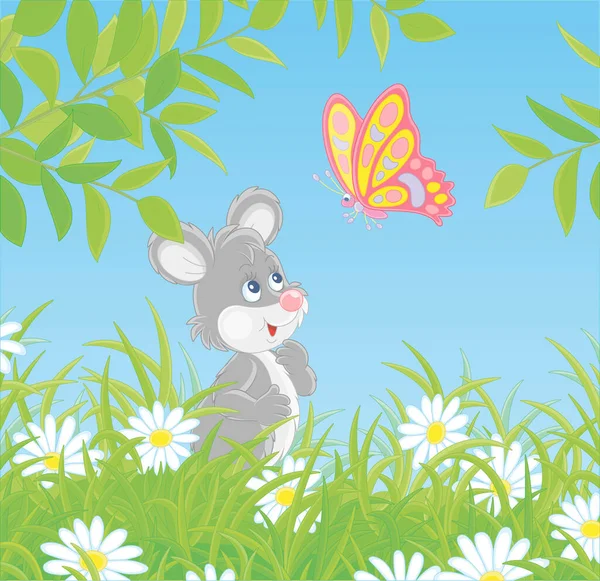 小さな灰色のマウスフレンドリーな笑顔と明るい色の蝶が晴れた日に美しい夏のフィールドの緑の芝生の間に隠れている白いデイジーの上になびくのを見て ベクトル漫画のイラスト — ストックベクタ