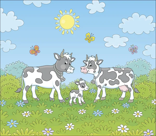 Vaca Blanca Negra Manchada Toro Ternero Pequeño Caminando Sobre Hierba — Vector de stock