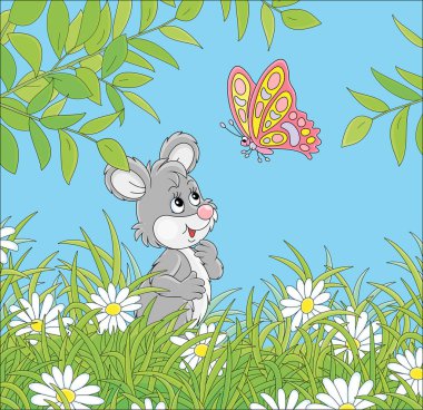 Little grey mouse friendly smiling and playing with a bright colorful butterfly flittering over white daisies hiding among green grass of a pretty summer field on a sunny day, vector cartoon illustration clipart