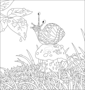 Funny garden snail with a beautiful spotted shell, sitting on a big mushroom among grass on a forest glade, friendly smiling and playing with rain drops, vector cartoon illustration clipart