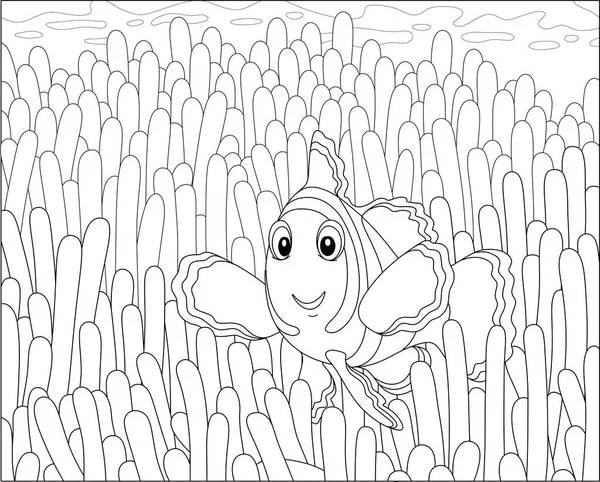 Smiling Anemone Fish Images Search Images On Everypixel Smiling Anemone Fish Images Search Images On Everypixel