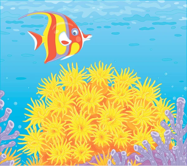 Funny Striped Butterfly Fish Swimming Bright Colorful Corals Blue Water — Stock Vector