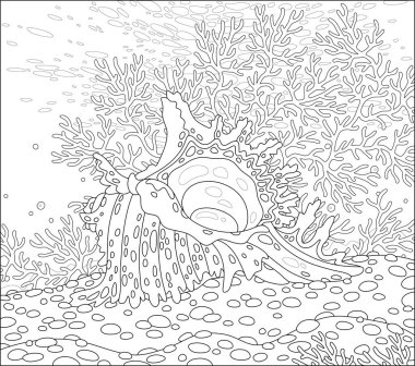 Güney denizinde tropikal bir resifin kumundaki egzotik dallı mercanların arasında benekleri olan güzel, süslü bir kabuk, bir boyama kitabı sayfası için siyah-beyaz vektör çizimi.