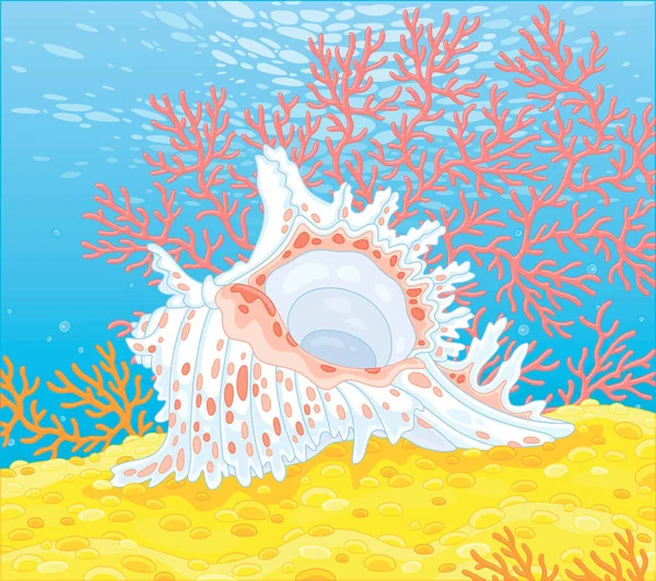 Gyönyörű Divatos Fehér Héj Rózsaszín Foltok Között Színes Elágazó Korallok — Stock Vector