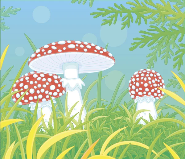 野生森林中一片茂密的草地上 隐藏着三种带有鲜红色帽子和白色斑点的毒蝇 病媒卡通画 — 图库矢量图片
