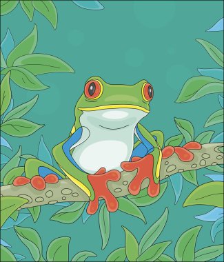 Funny colorful and poisonous frog sitting on a green tree branch in a wild tropical jungle, vector cartoon illustration clipart