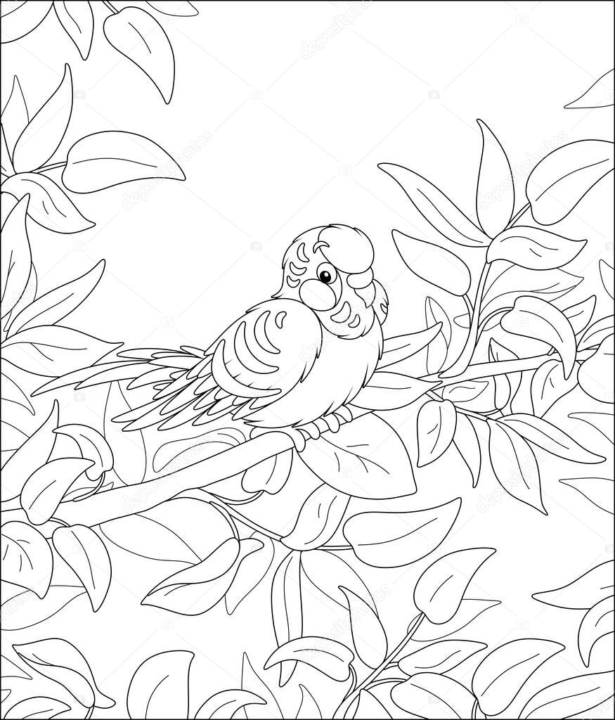 Amusing parrot, long-tailed, perched on a tree branch in a wild tropical jungle, black and white outline vector cartoon illustration for a coloring book page