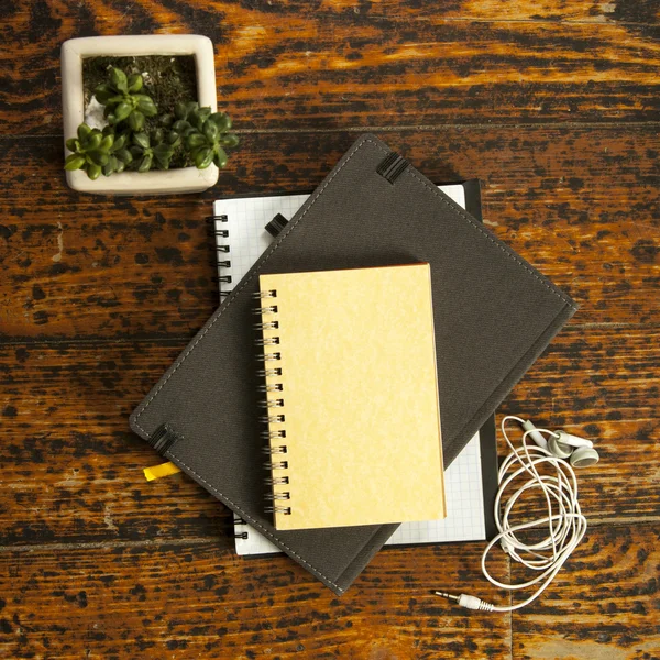 Notebooks, fones de ouvido e planta — Fotografia de Stock