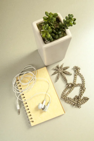 Σημειωματάριο, κολιέ, ακουστικά, φυτό — Φωτογραφία Αρχείου