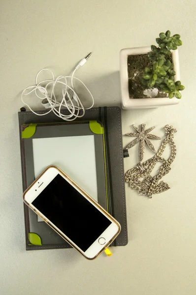 e-book, plant, headphones, phone, necklace