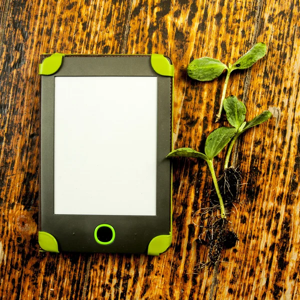 Libro electrónico y planta verde — Foto de Stock