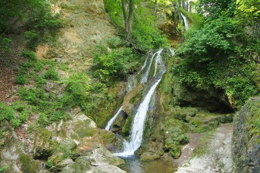 şelale yeşil orman yoluyla