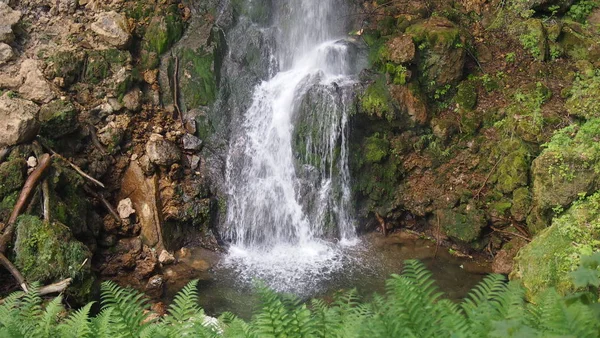 Водоспад через зелений ліс — стокове фото