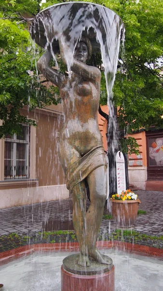 Fountain i Budapest Royaltyfria Stockbilder