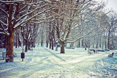 Kışın güzel park