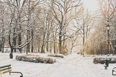 Kışın güzel park