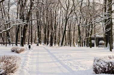 Kışın güzel park