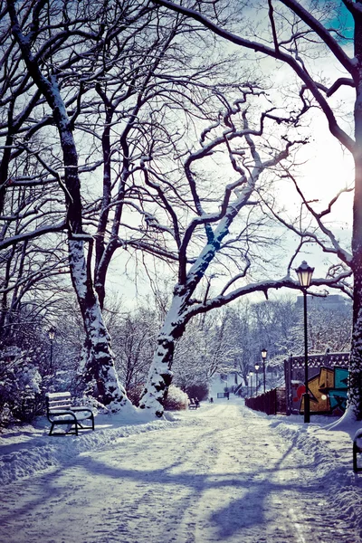 Красивый парк зимой — стоковое фото