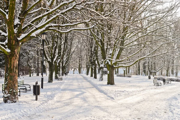 Bellissimo parco in inverno — Foto Stock