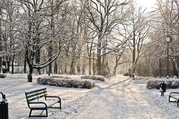 Télen gyönyörű park — Stock Fotó