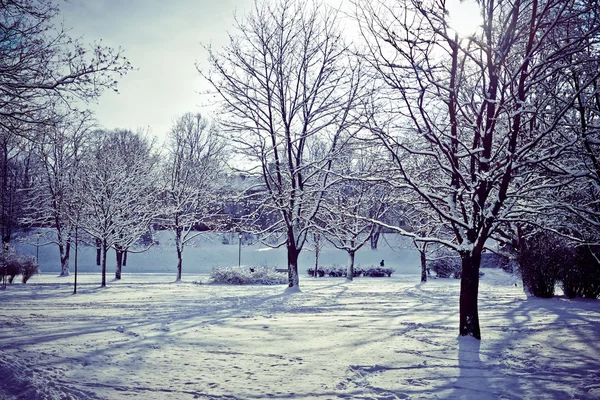 Vacker park på vintern — Stockfoto