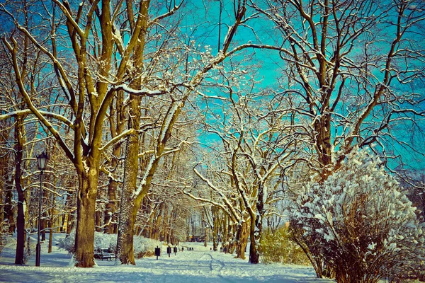 Prachtig park in de winter — Stockfoto
