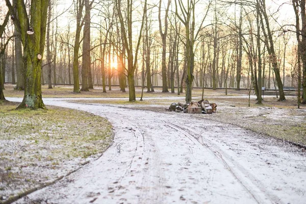 Sunset in a winter park — Stock Photo, Image